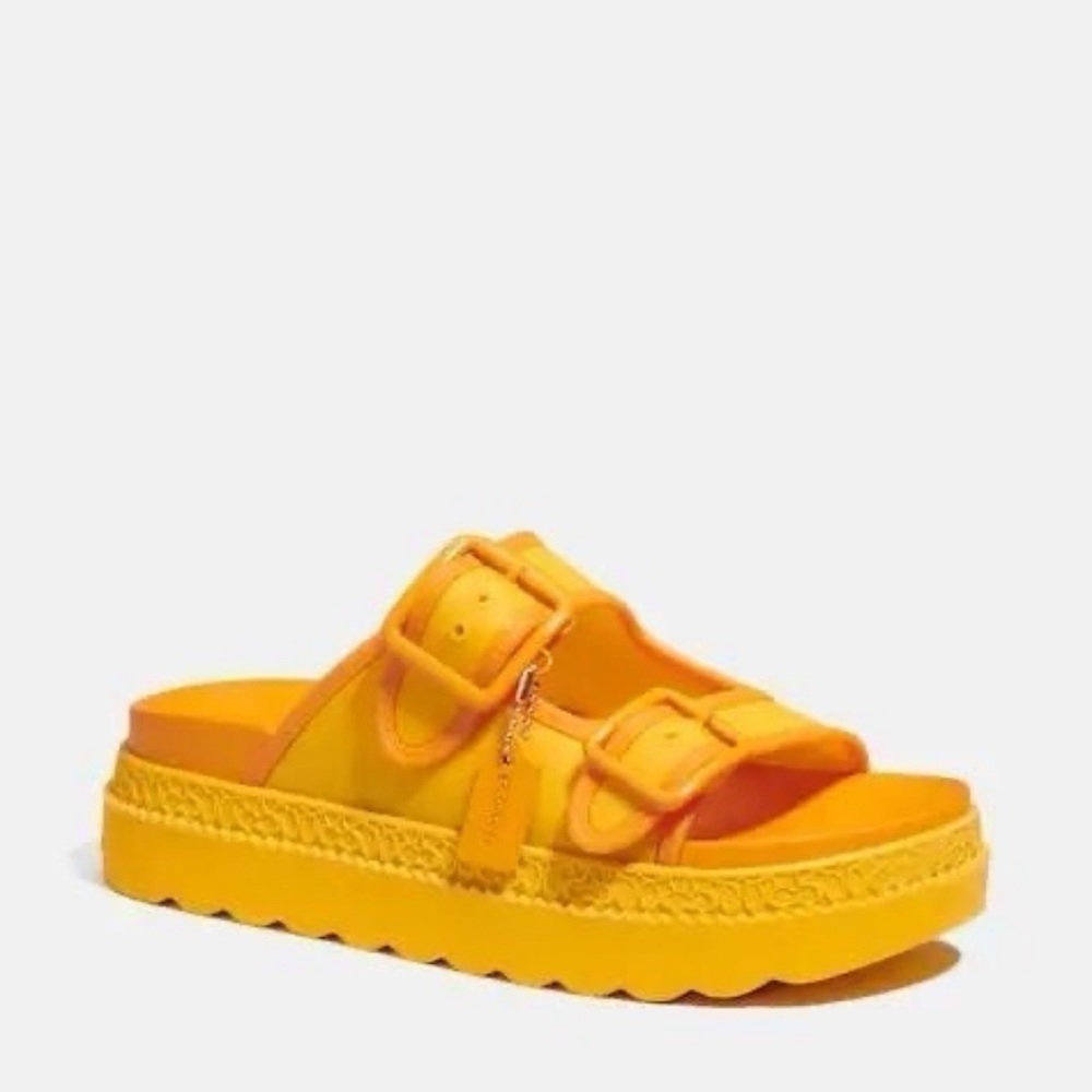 coach lucy rubber slides